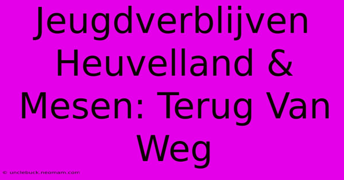 Jeugdverblijven Heuvelland & Mesen: Terug Van Weg