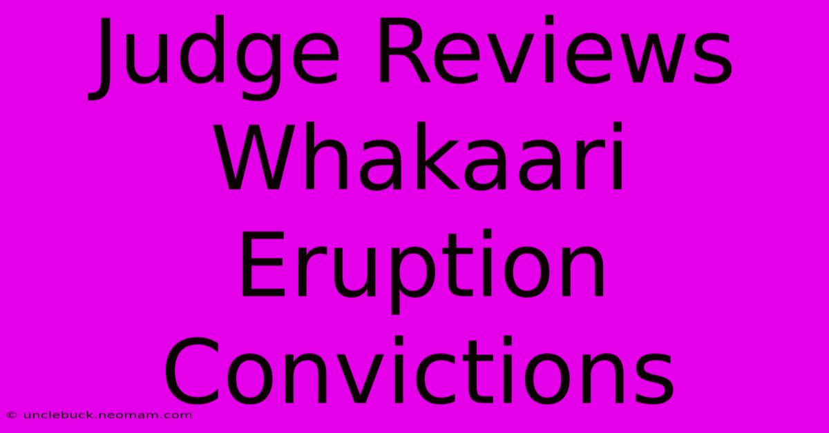 Judge Reviews Whakaari Eruption Convictions