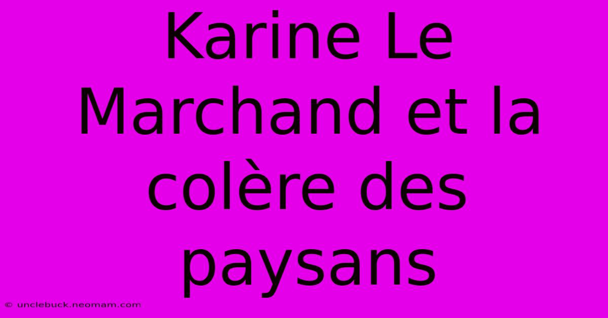 Karine Le Marchand Et La Colère Des Paysans