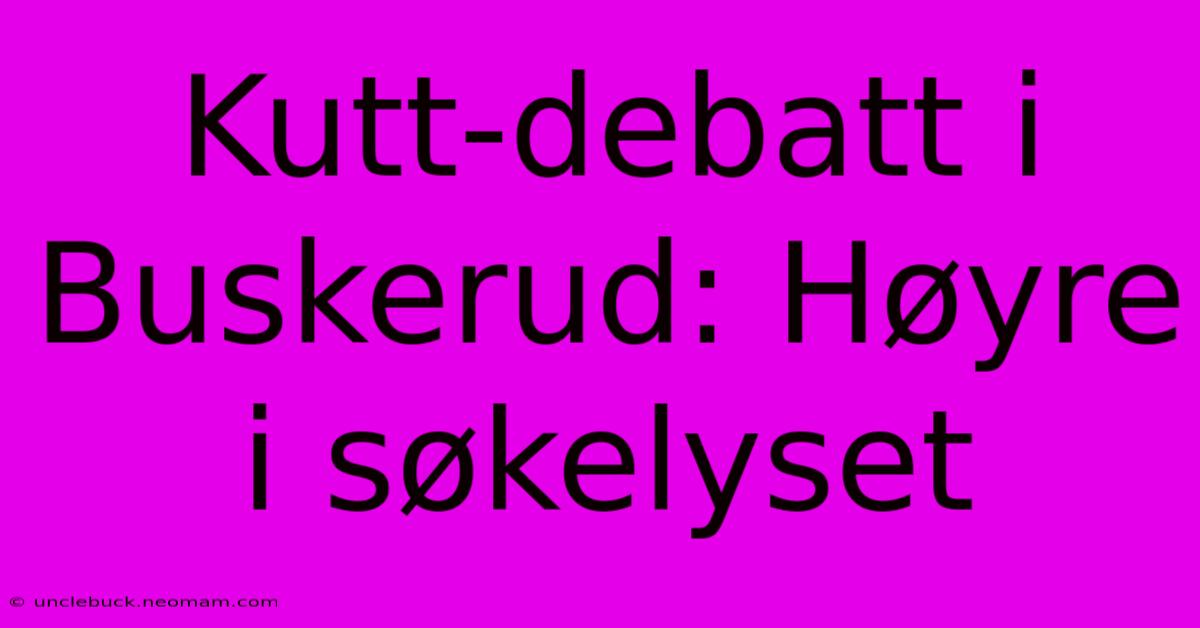 Kutt-debatt I Buskerud: Høyre I Søkelyset 