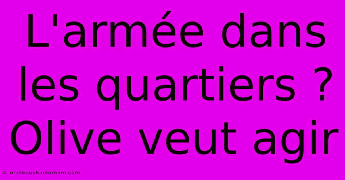 L'armée Dans Les Quartiers ? Olive Veut Agir