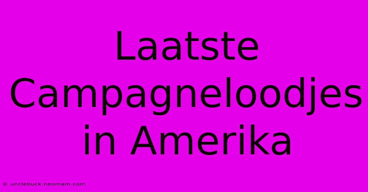 Laatste Campagneloodjes In Amerika