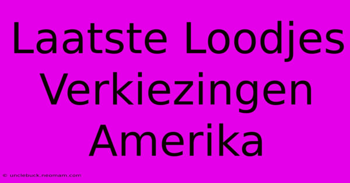 Laatste Loodjes Verkiezingen Amerika