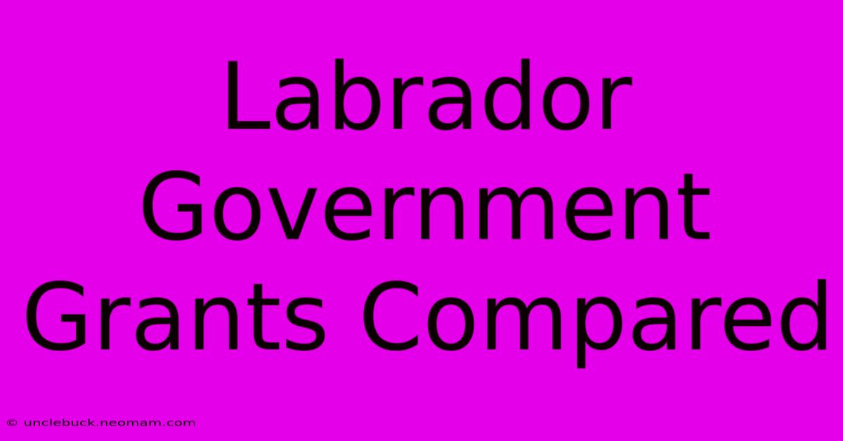 Labrador Government Grants Compared