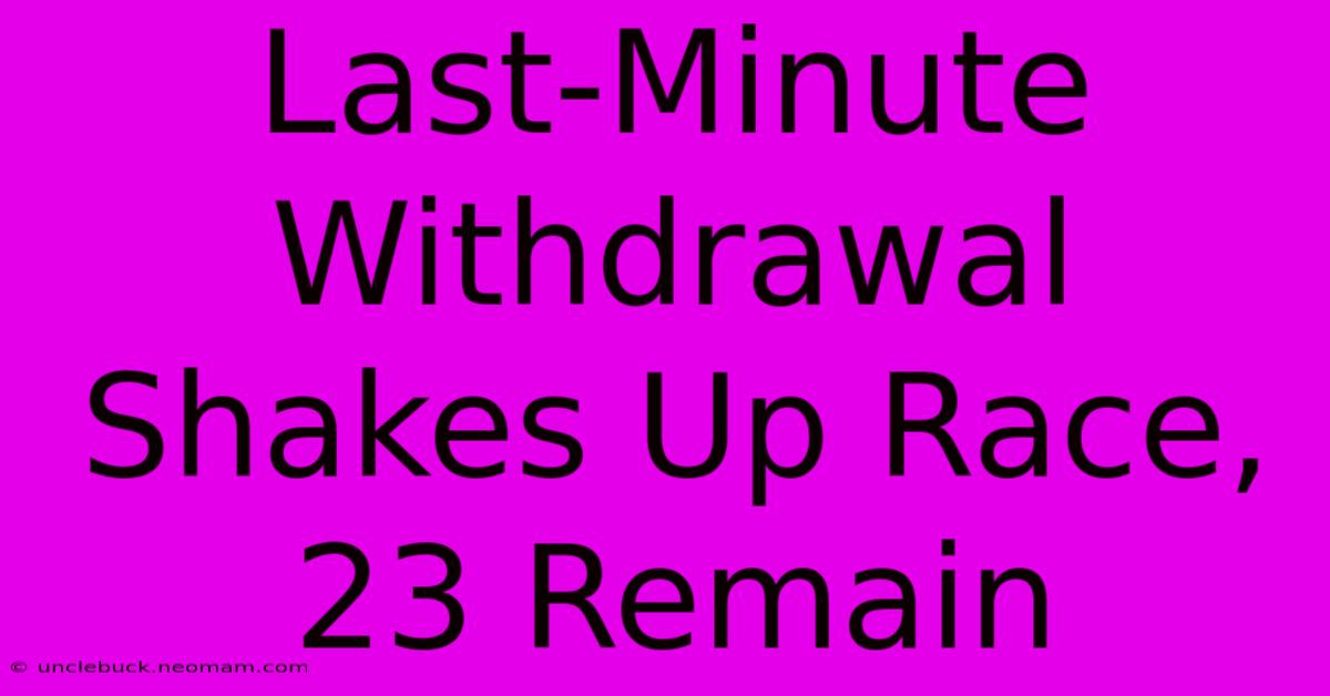 Last-Minute Withdrawal Shakes Up Race, 23 Remain