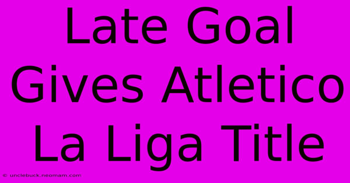 Late Goal Gives Atletico La Liga Title