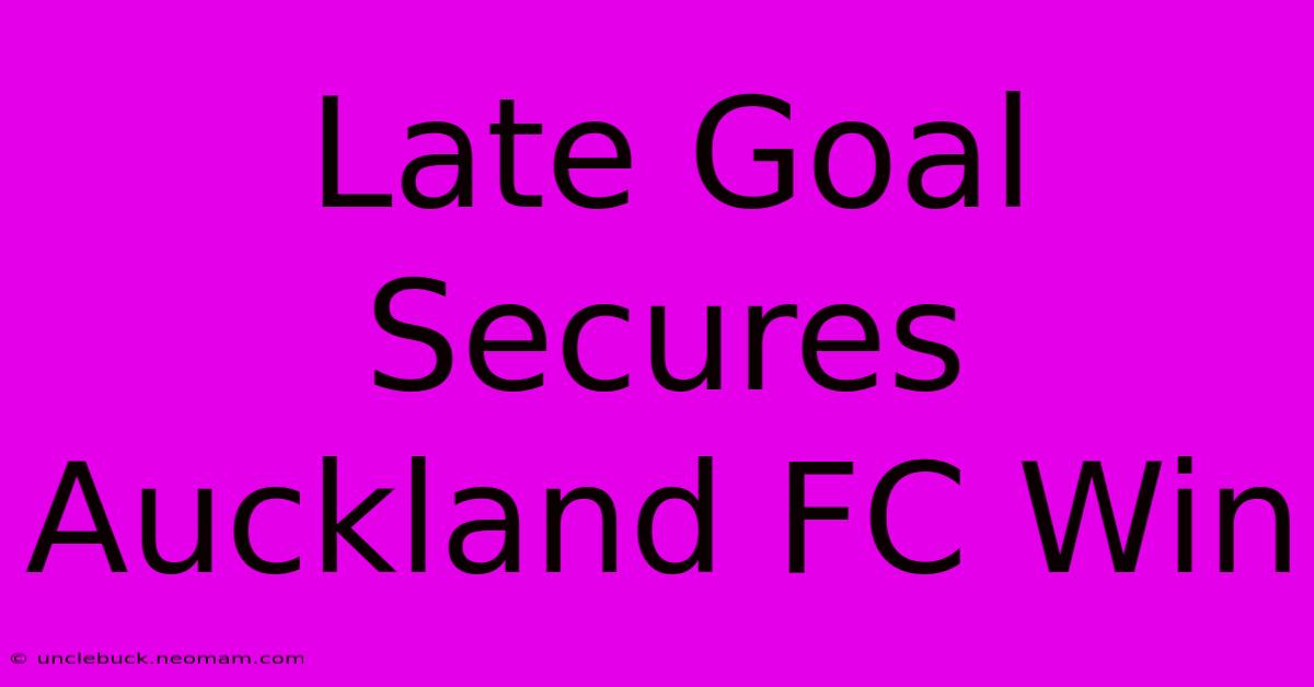 Late Goal Secures Auckland FC Win