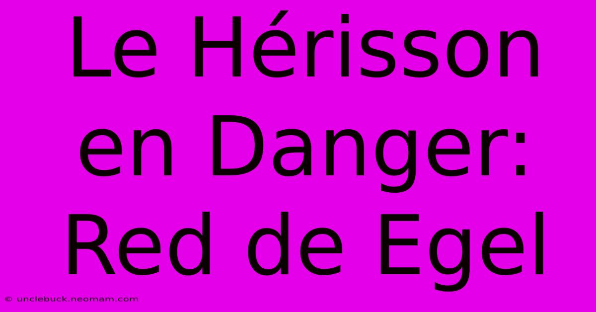 Le Hérisson En Danger: Red De Egel