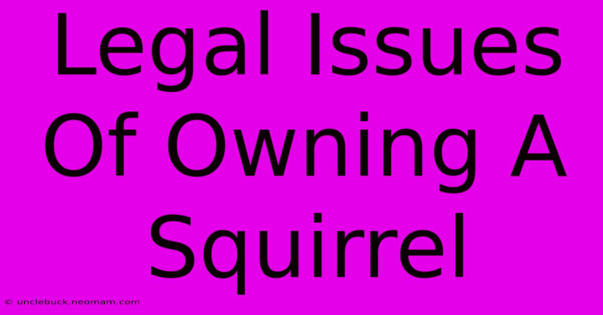 Legal Issues Of Owning A Squirrel