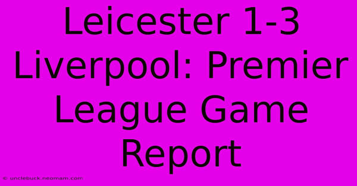 Leicester 1-3 Liverpool: Premier League Game Report