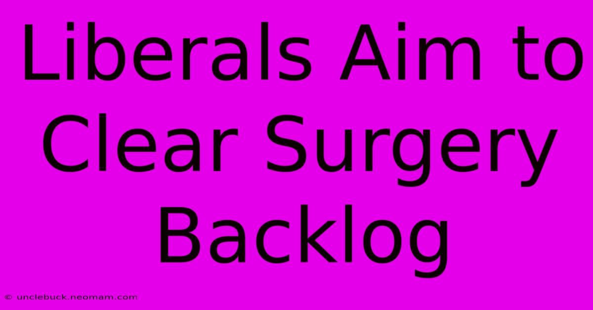 Liberals Aim To Clear Surgery Backlog