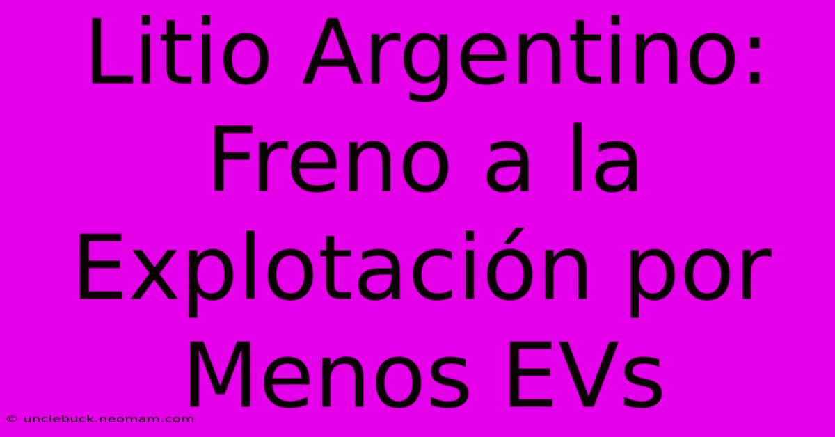 Litio Argentino: Freno A La Explotación Por Menos EVs 