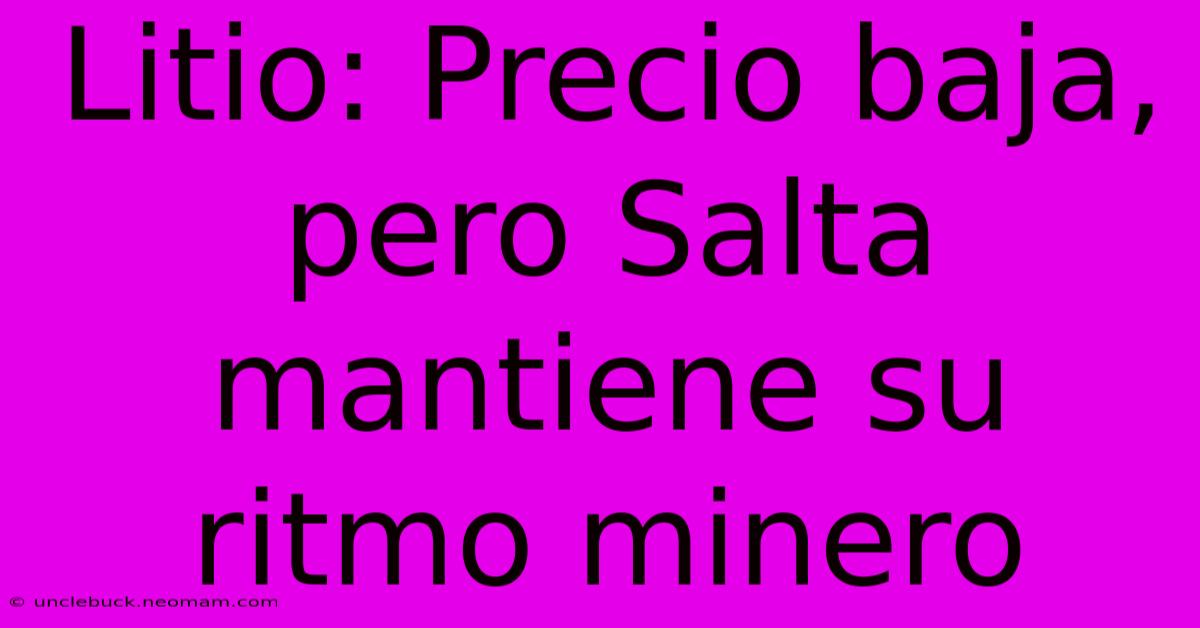 Litio: Precio Baja, Pero Salta Mantiene Su Ritmo Minero