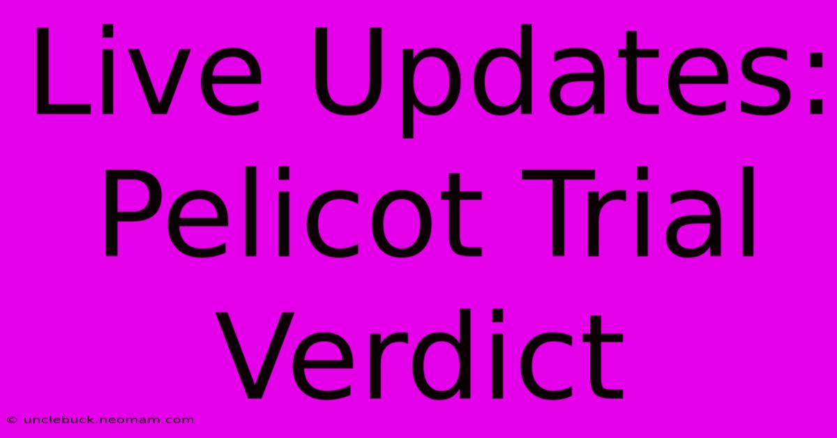 Live Updates: Pelicot Trial Verdict