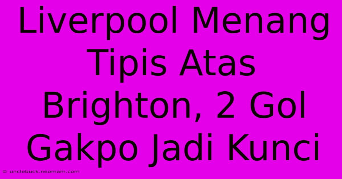 Liverpool Menang Tipis Atas Brighton, 2 Gol Gakpo Jadi Kunci