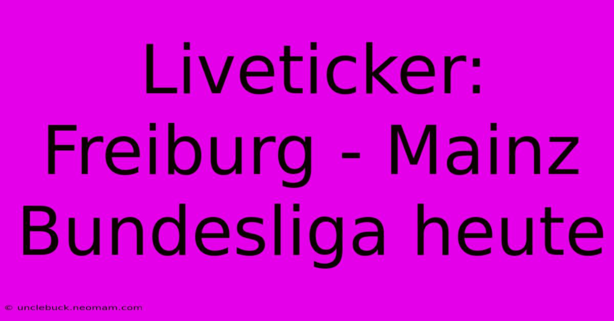 Liveticker: Freiburg - Mainz Bundesliga Heute