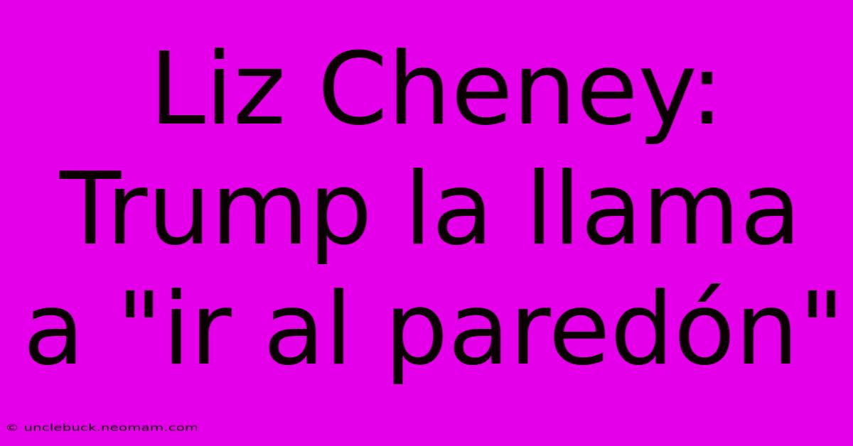 Liz Cheney: Trump La Llama A 