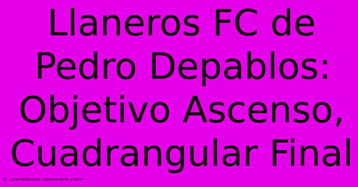 Llaneros FC De Pedro Depablos:  Objetivo Ascenso, Cuadrangular Final 