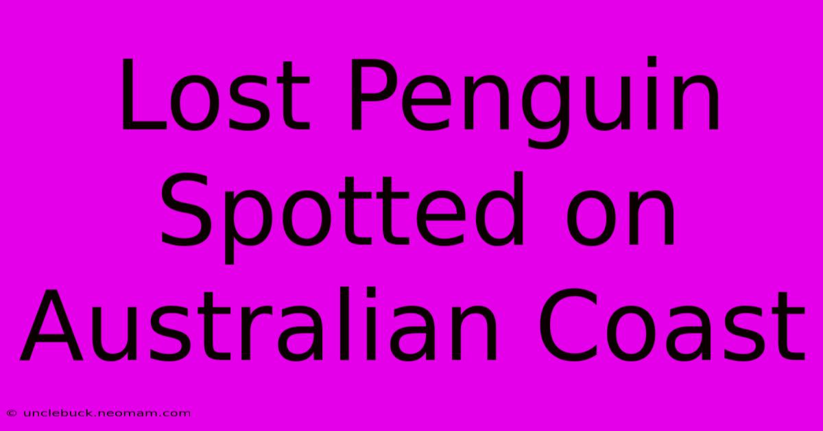 Lost Penguin Spotted On Australian Coast