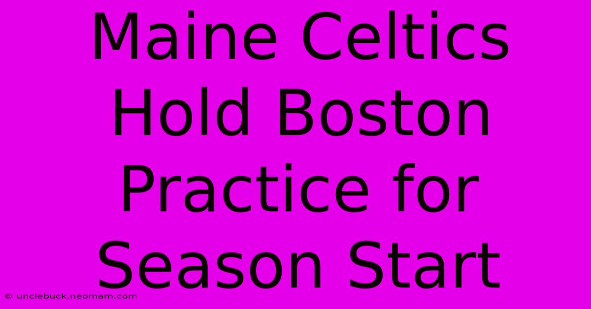 Maine Celtics Hold Boston Practice For Season Start