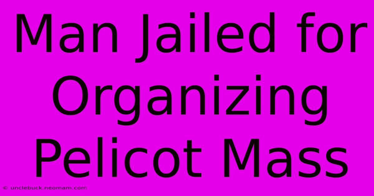 Man Jailed For Organizing Pelicot Mass