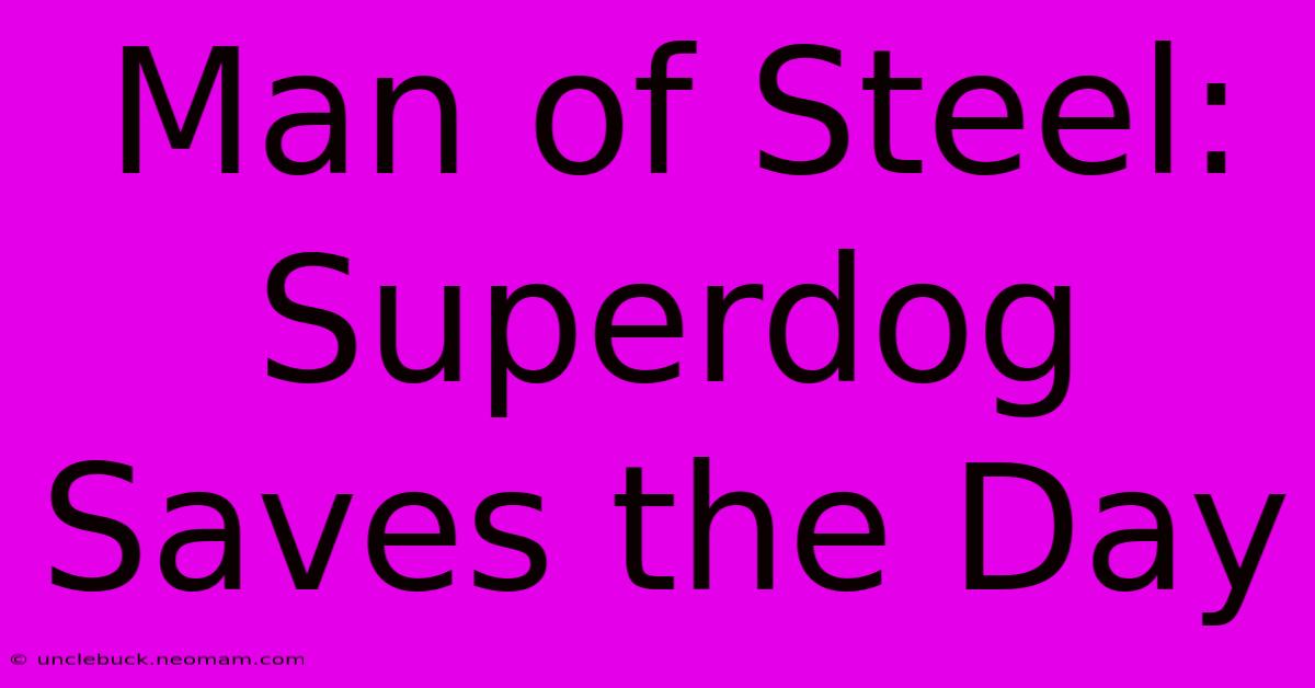 Man Of Steel: Superdog Saves The Day