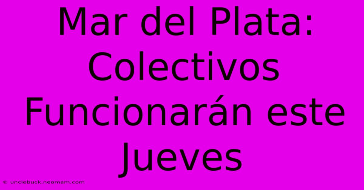 Mar Del Plata: Colectivos Funcionarán Este Jueves