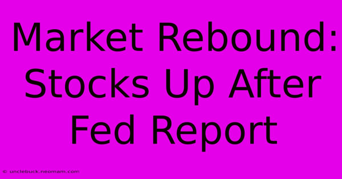 Market Rebound: Stocks Up After Fed Report