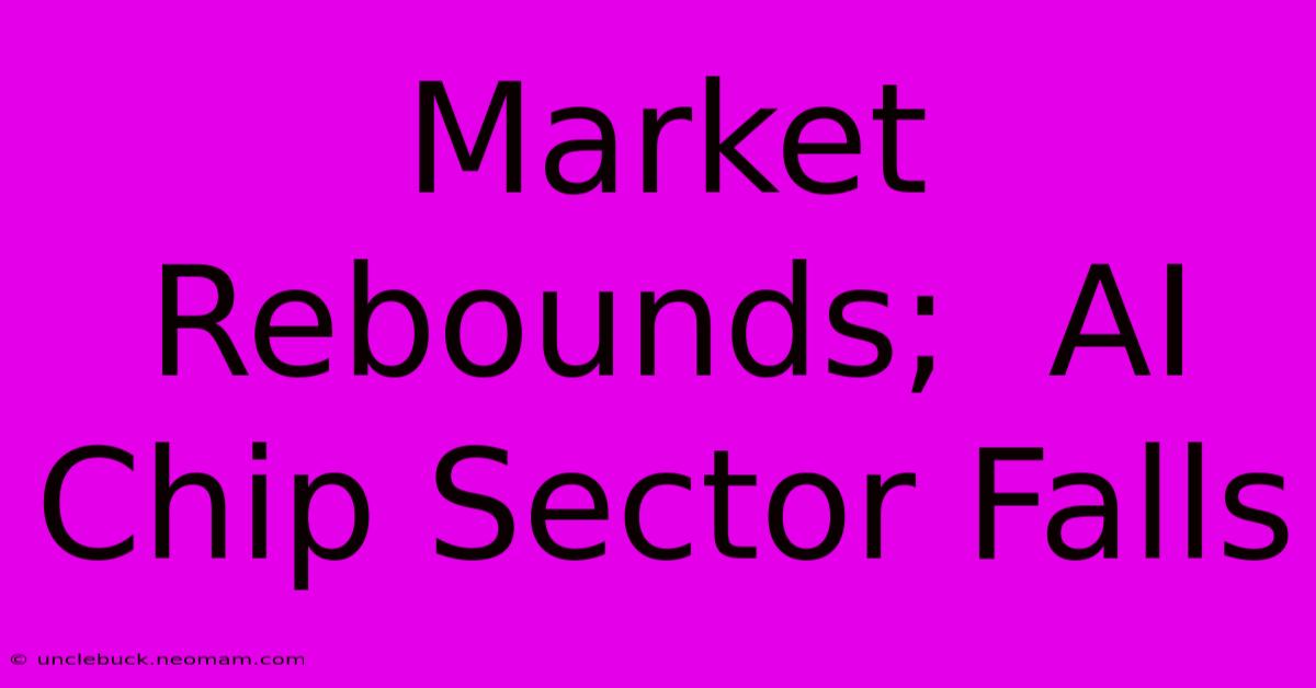 Market Rebounds;  AI Chip Sector Falls