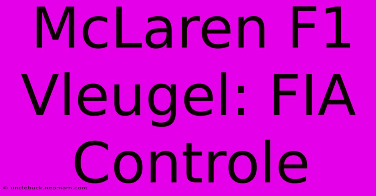 McLaren F1 Vleugel: FIA Controle