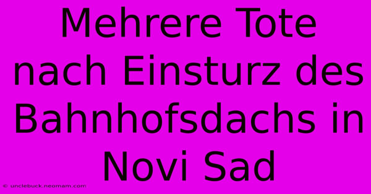 Mehrere Tote Nach Einsturz Des Bahnhofsdachs In Novi Sad 