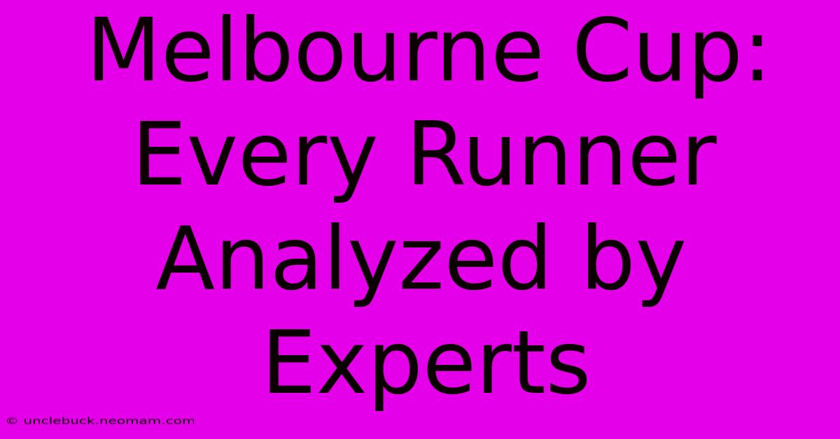 Melbourne Cup: Every Runner Analyzed By Experts