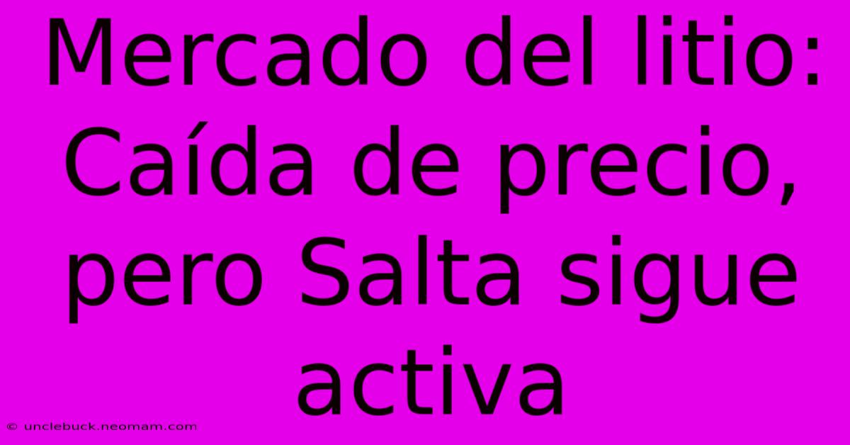 Mercado Del Litio: Caída De Precio, Pero Salta Sigue Activa 