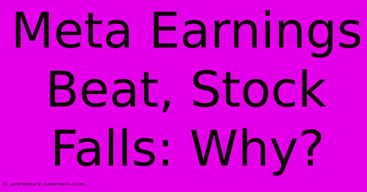 Meta Earnings Beat, Stock Falls: Why?