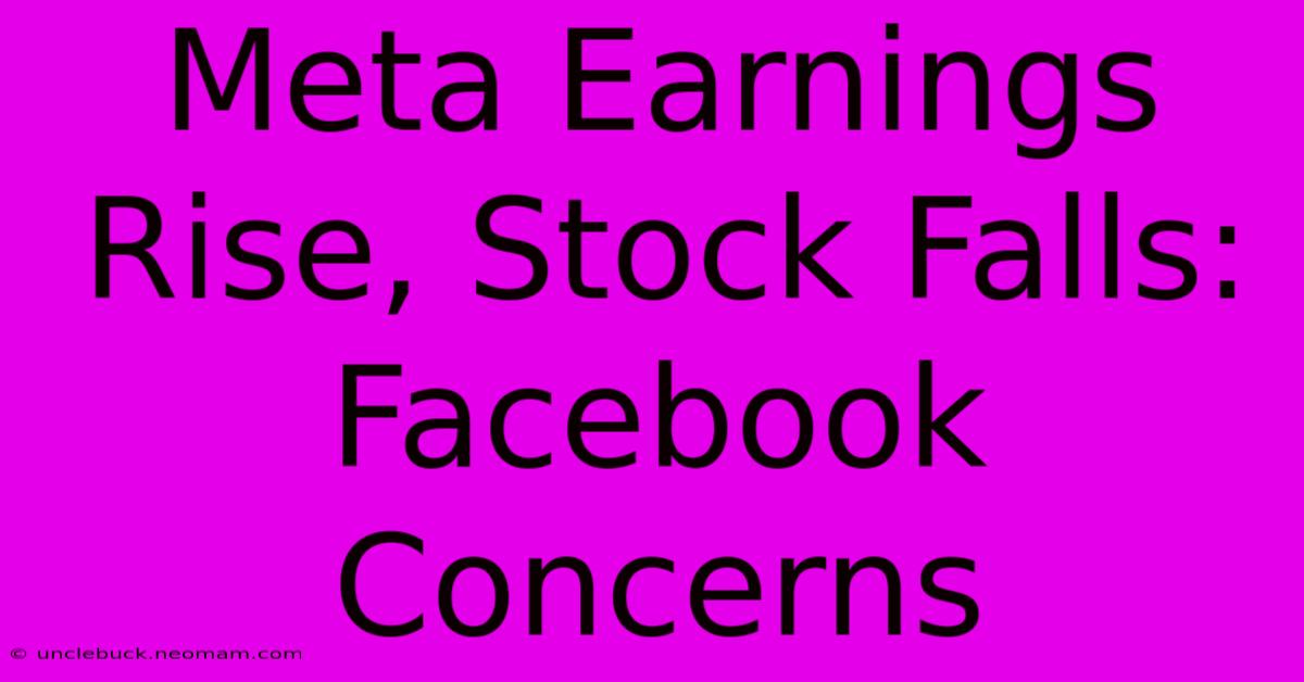 Meta Earnings Rise, Stock Falls: Facebook Concerns