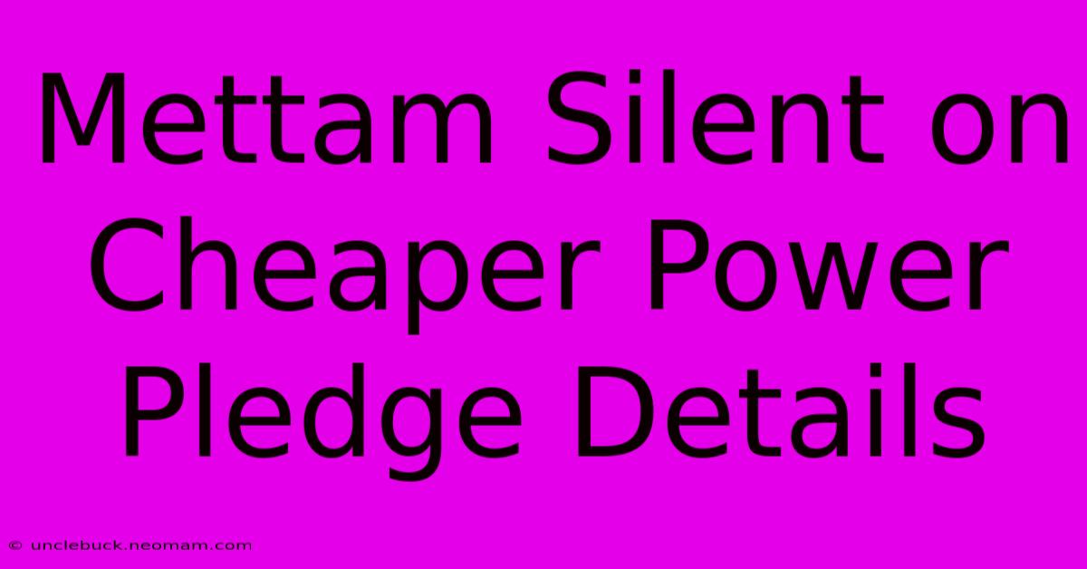 Mettam Silent On Cheaper Power Pledge Details