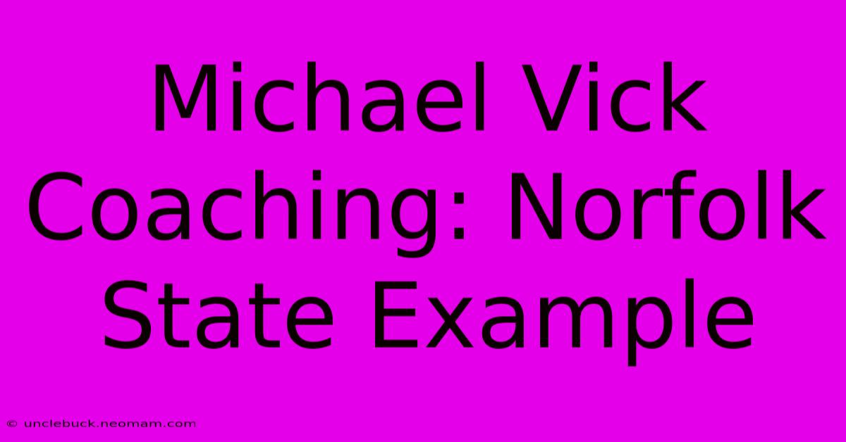 Michael Vick Coaching: Norfolk State Example