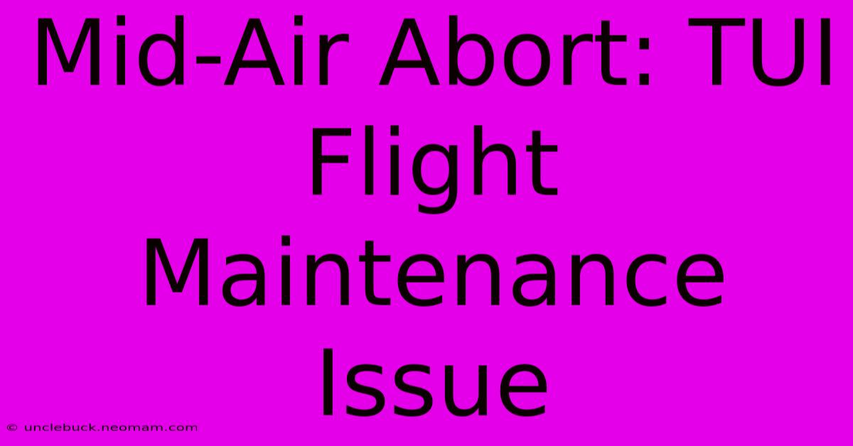 Mid-Air Abort: TUI Flight Maintenance Issue