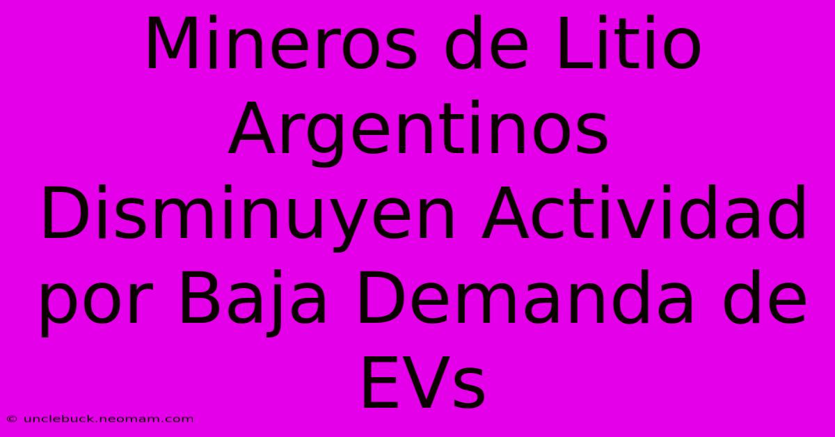 Mineros De Litio Argentinos Disminuyen Actividad Por Baja Demanda De EVs