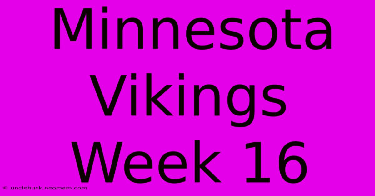 Minnesota Vikings Week 16