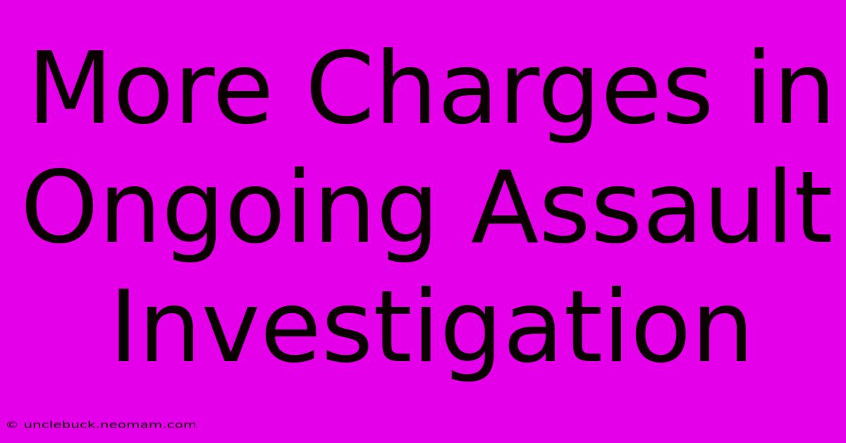 More Charges In Ongoing Assault Investigation