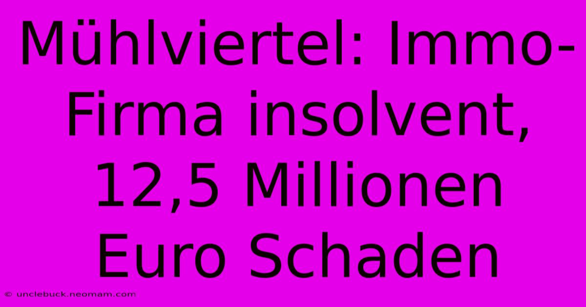 Mühlviertel: Immo-Firma Insolvent, 12,5 Millionen Euro Schaden