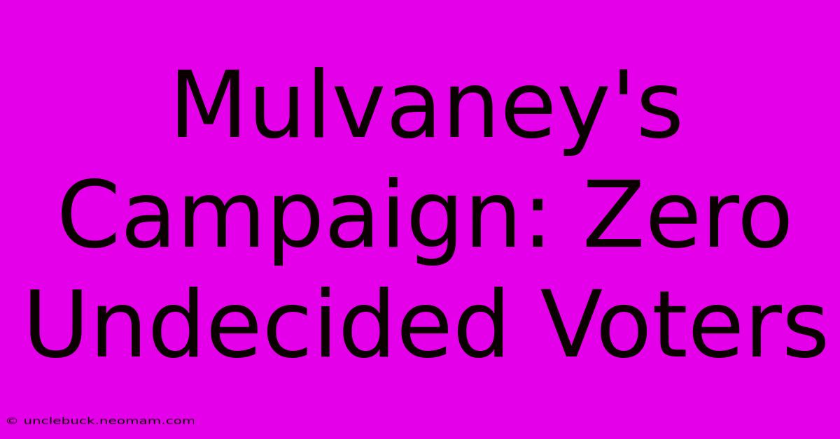 Mulvaney's Campaign: Zero Undecided Voters