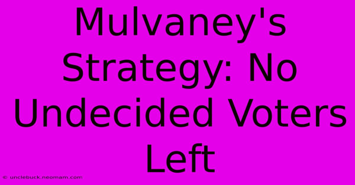 Mulvaney's Strategy: No Undecided Voters Left