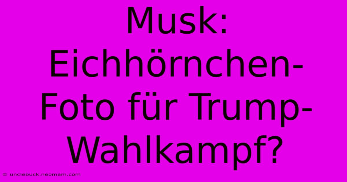 Musk: Eichhörnchen-Foto Für Trump-Wahlkampf? 