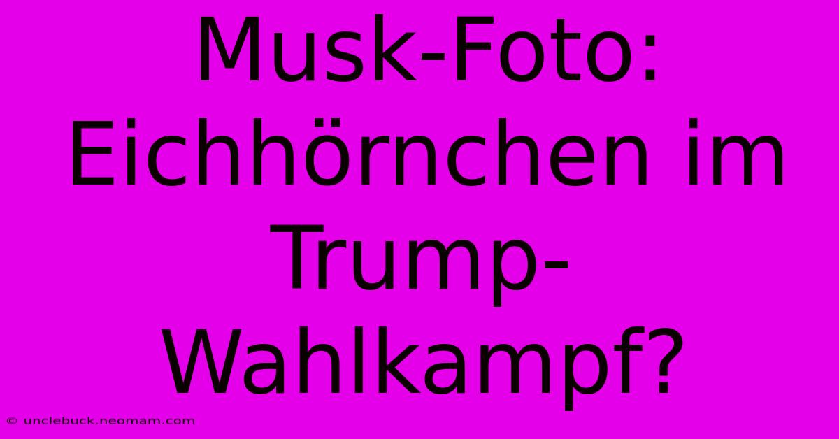 Musk-Foto: Eichhörnchen Im Trump-Wahlkampf?