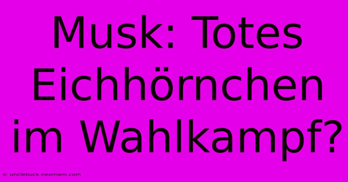 Musk: Totes Eichhörnchen Im Wahlkampf?