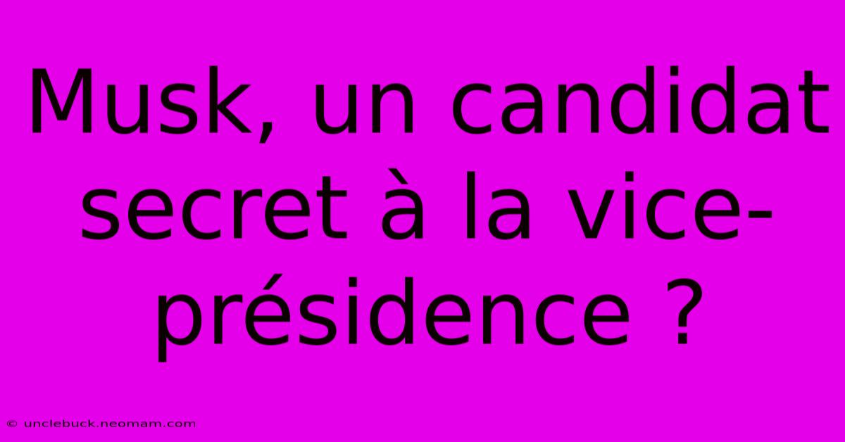 Musk, Un Candidat Secret À La Vice-présidence ?