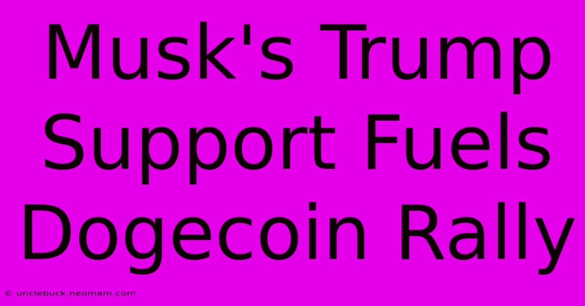 Musk's Trump Support Fuels Dogecoin Rally 