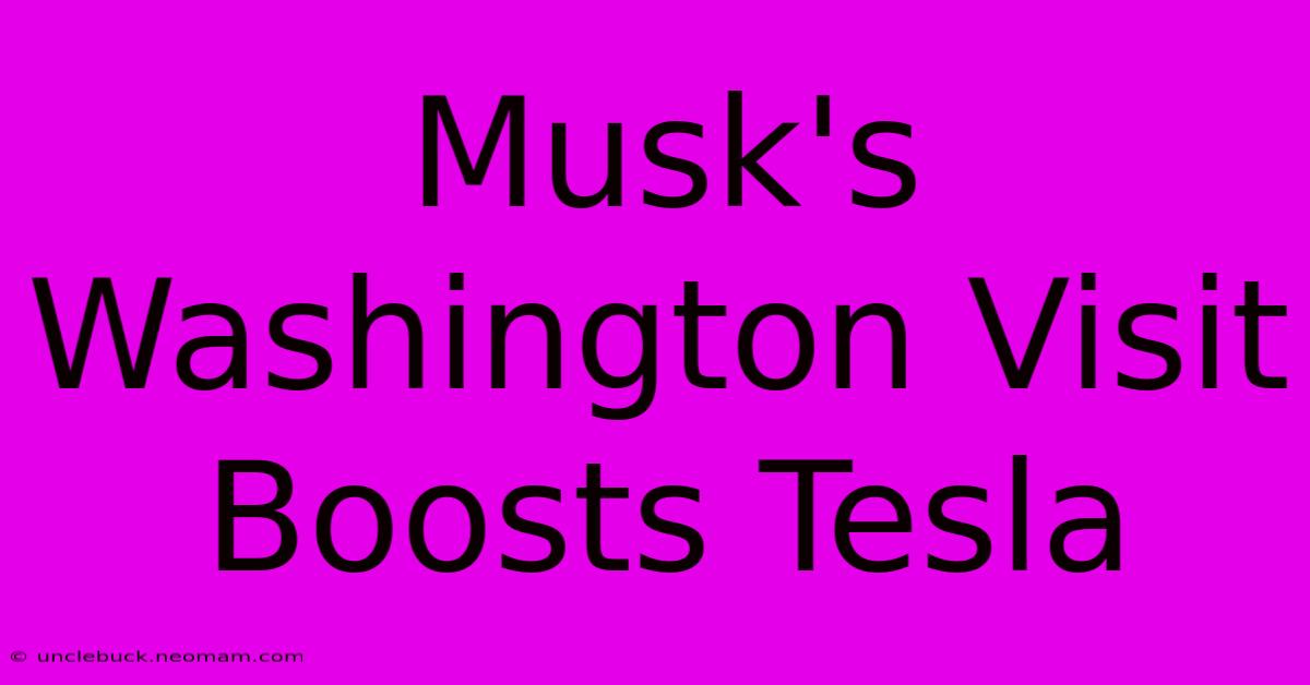 Musk's Washington Visit Boosts Tesla